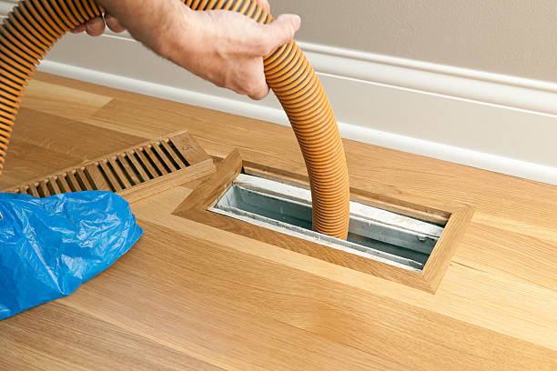 Best Affordable Duct Cleaning Services  in Greenwood, DE